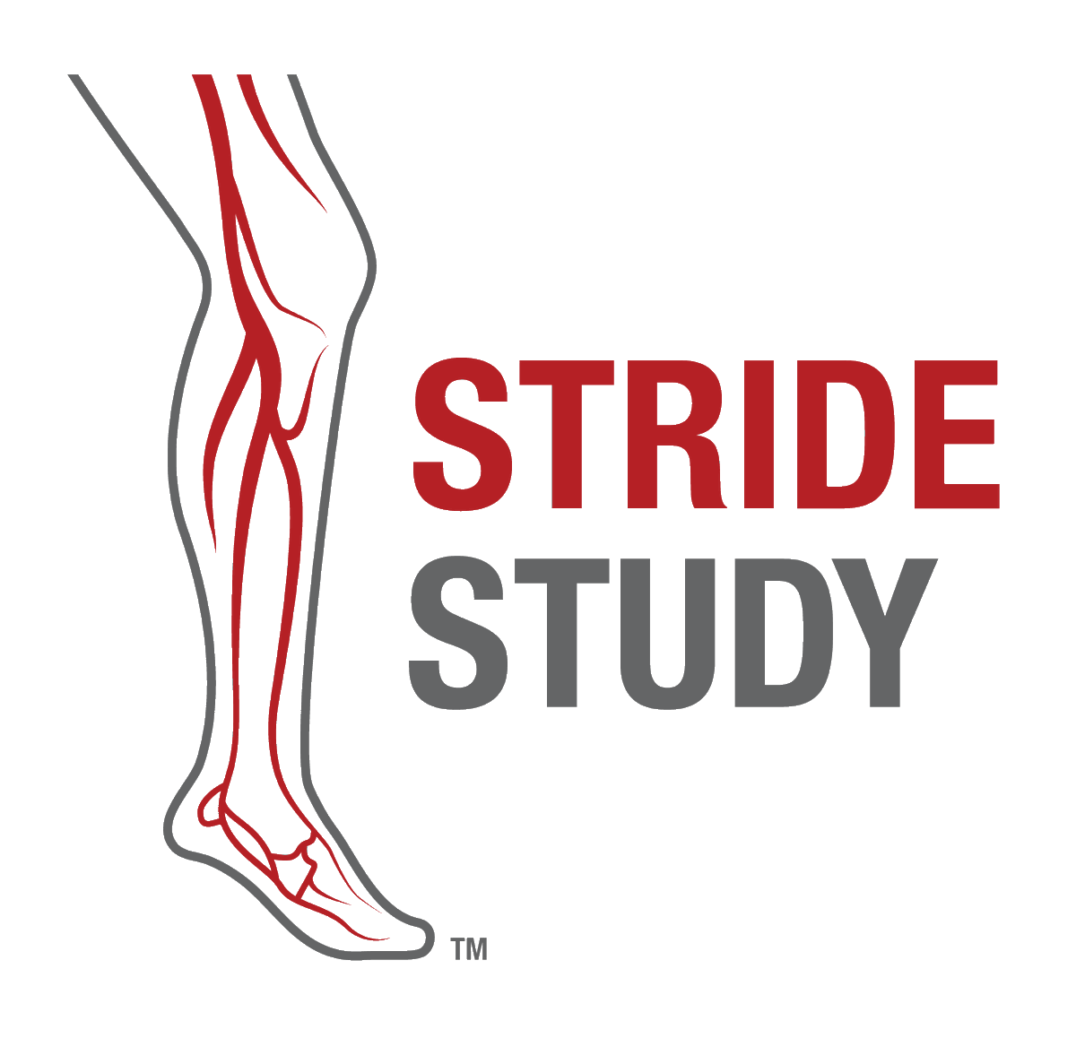 penumbrainc's tweet photo. Last week, new data from STRIDE Study was presented during Charing Cross 2023 @CXSymposium. Read more here: https://t.co/c7ufiu3G9y @drseanlyden #CX2023 #MedTech https://t.co/AQVbhSs8if