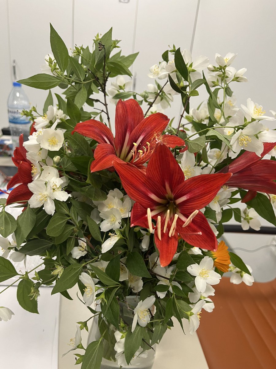 Hastalarım beni şımartıyor ❤️