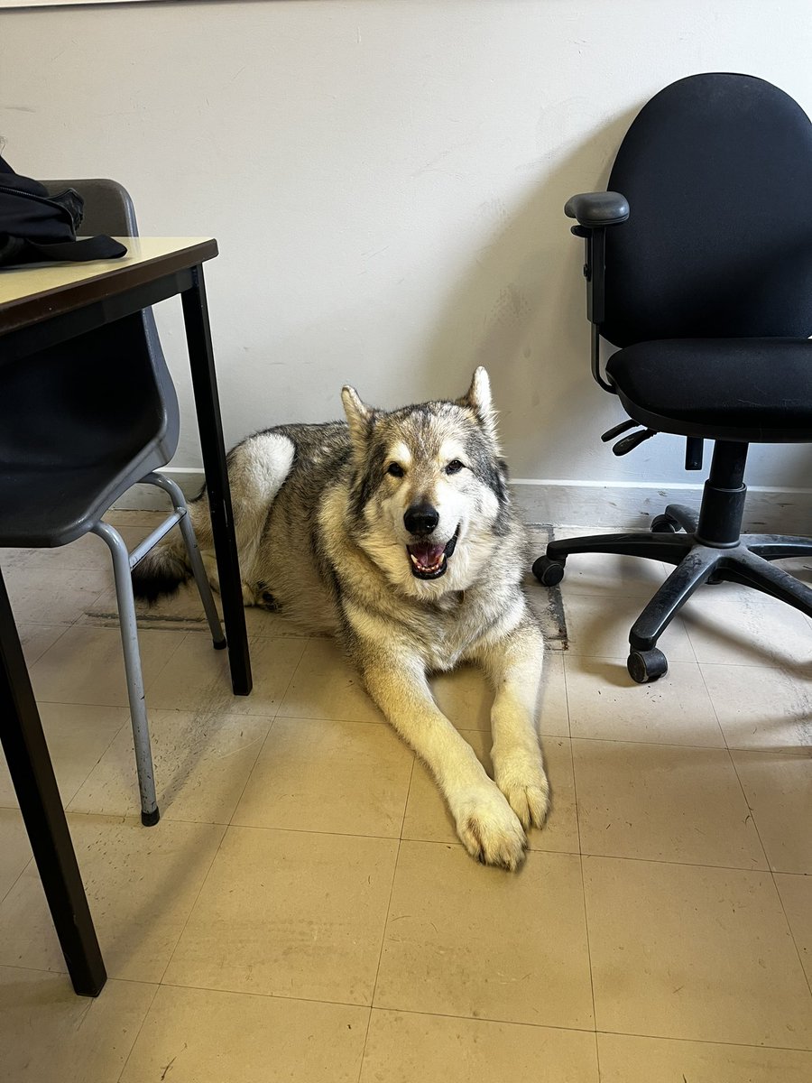 Hazlehead Academy Maths & Numeracy tweet media