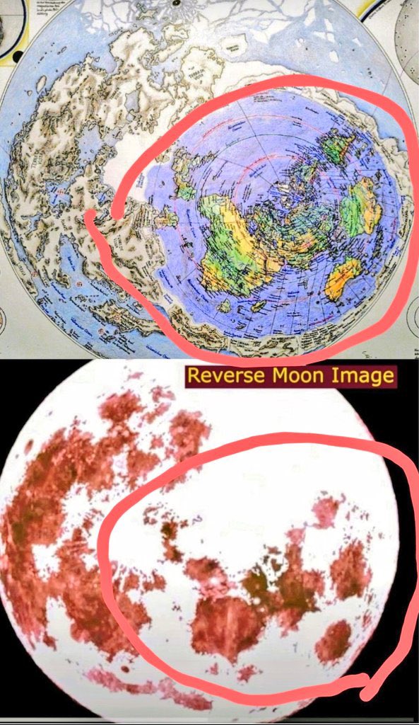 MAVERICK X tweet media