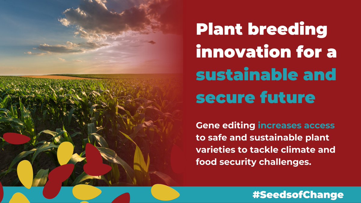 CFA (@cfafca) on Twitter photo Innovation is the key to a stronger, more resilient agriculture sector. <a href="/InspectionCan/">Canadian Food Inspection Agency</a> guidance on plant breeding will help Canadian farmers meet the challenges of today and tomorrow.
Let's seize this opportunity and sow the #SeedsOfChange for a brighter future. #cdnag Innovation is the key to a stronger, more resilient agriculture sector. <a href="/InspectionCan/">Canadian Food Inspection Agency</a> guidance on plant breeding will help Canadian farmers meet the challenges of today and tomorrow.
Let's seize this opportunity and sow the #SeedsOfChange for a brighter future. #cdnag
