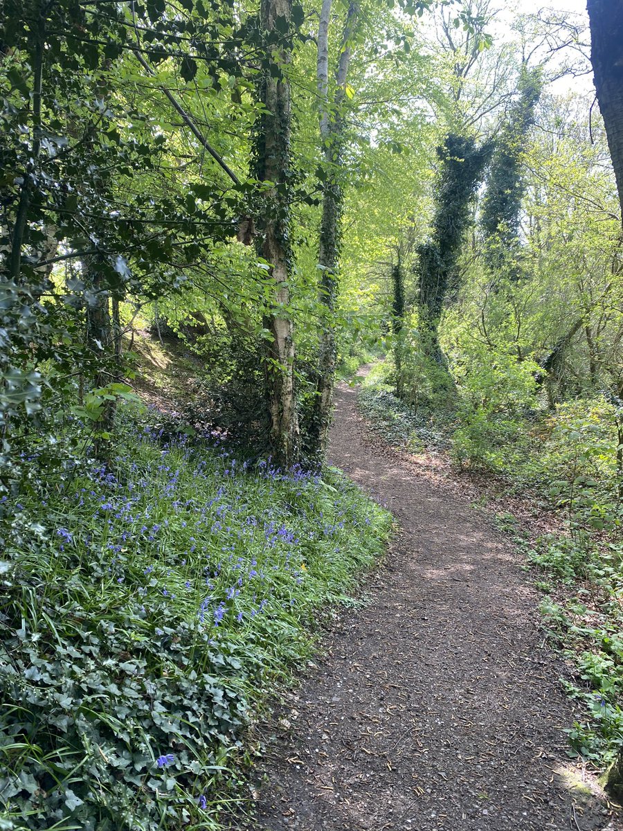 Amy Crumpton (@amycrumpton12) on Twitter photo Great day for a walking supervision. ☀️
The last few months have once again caused me to reflect on how important supporting MH + well being in our teams is to deliver the care we need to.
Been a while since hopped across the road from <a href="/SWBHnhs/">SWB NHS Trust</a> to this peaceful trail 💛 Great day for a walking supervision. ☀️
The last few months have once again caused me to reflect on how important supporting MH + well being in our teams is to deliver the care we need to.
Been a while since hopped across the road from <a href="/SWBHnhs/">SWB NHS Trust</a> to this peaceful trail 💛