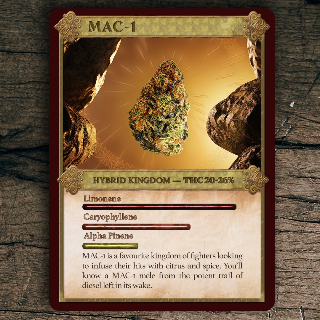 holymtncannabis's tweet photo. MAC-1 boasts legendary citrus and spice. If you’re looking for critical hits, you’ve come to the right place. ⚔️ https://t.co/ry59A8Truu