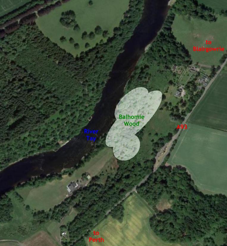 Here we are, a small area of riverside forest with bluebells, rare orchids, old trees, already damaged by a developer. #perthshire #woodland #protecttheenvironment