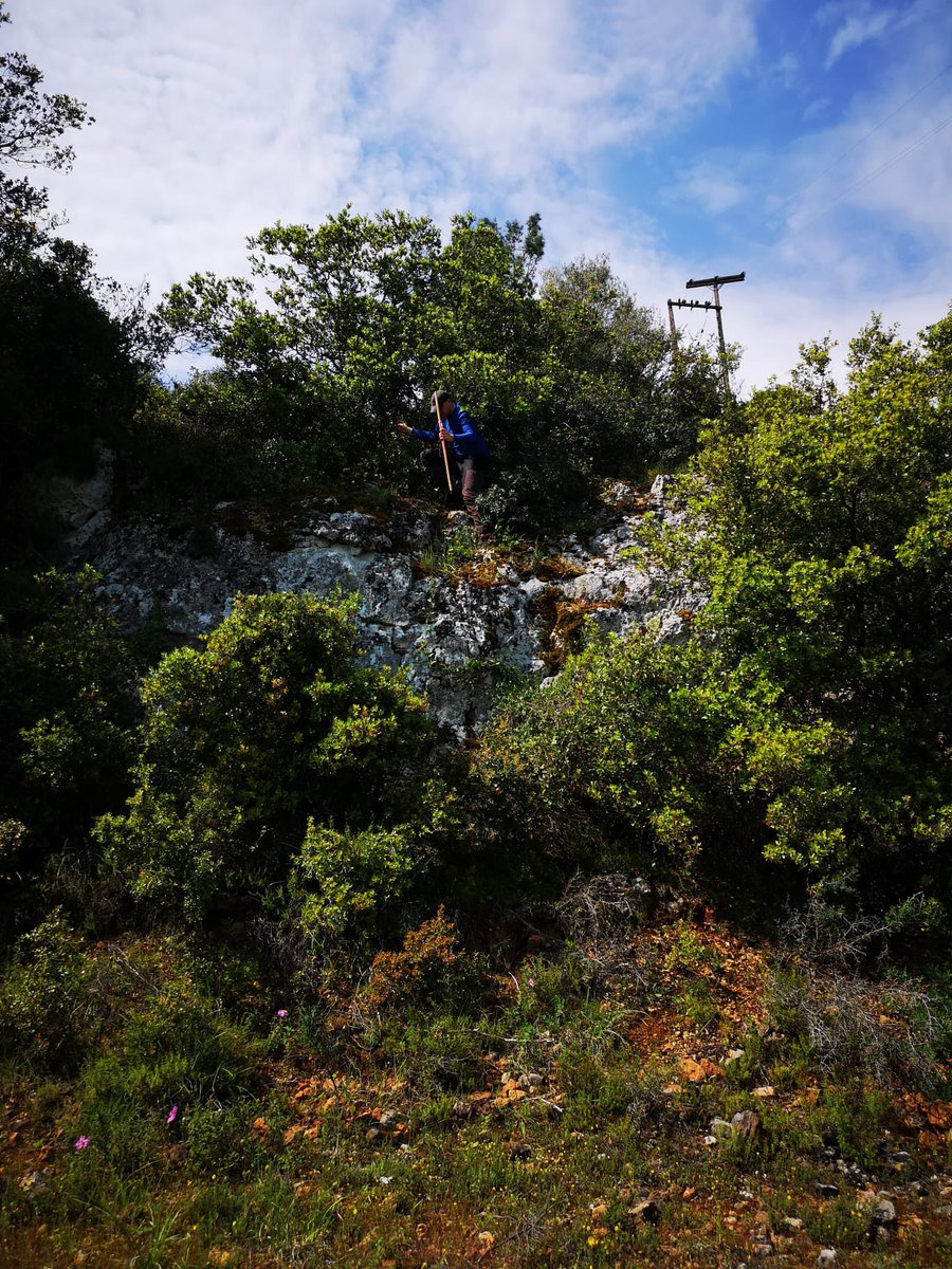 Sam Mitchell tweet media