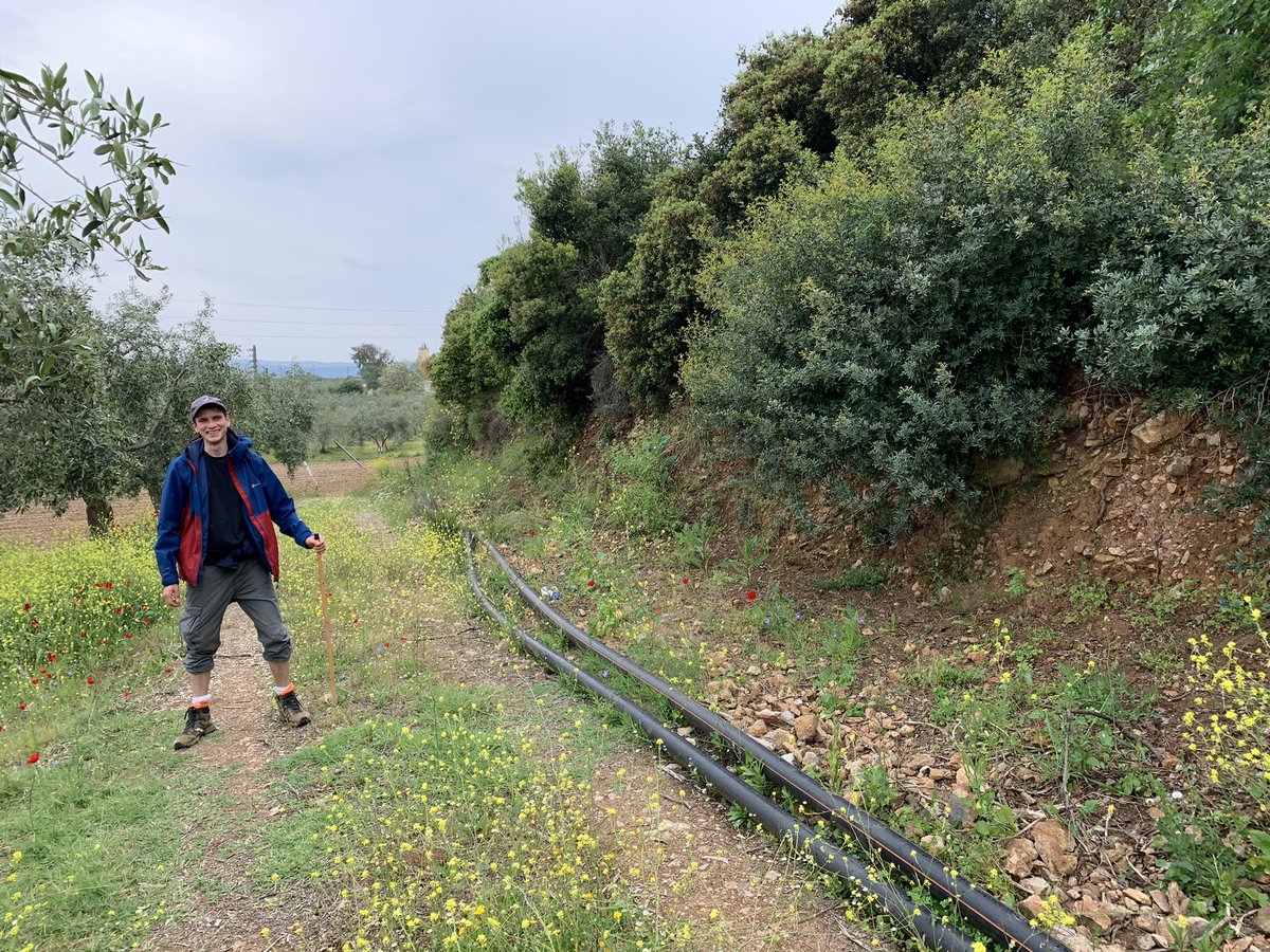 Sam Mitchell tweet media