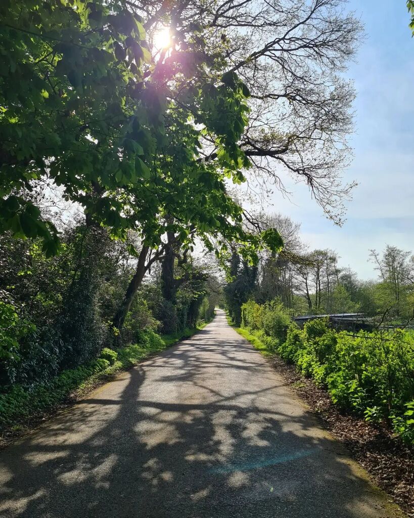 Gorgeous early evening run in the sunshine, so lucky to have this on my doorstep 😎🏃‍♂️
#run #runner #running #runninggirl #runningmotivation #eveningrun #countrylane #view #views #countryside #englishcountryside #countrylife #Wokingham #ludgrove #berkshi… instagr.am/p/CrylZvet0y3/