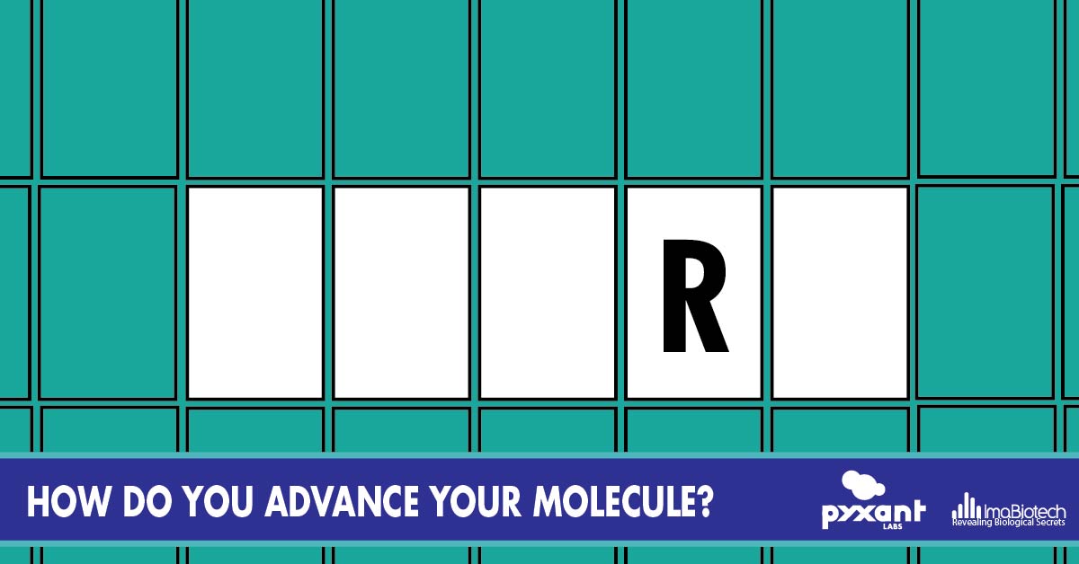 Would you like to buy a vowel? The announcement is right around the corner. Sign up here to be the first to know: imabiotech.com/contact-imabio… #somethingscoming #pyxantimabiotech