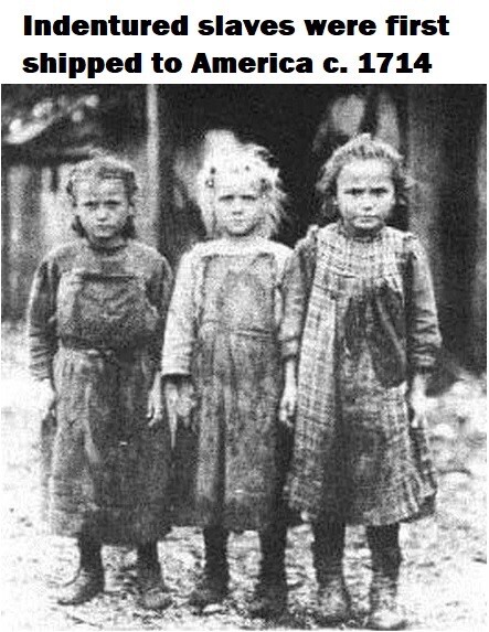 bourdin_fred's tweet photo. The white slaves that they do not talk about 🧐 https://t.co/SE6VOqMyXG