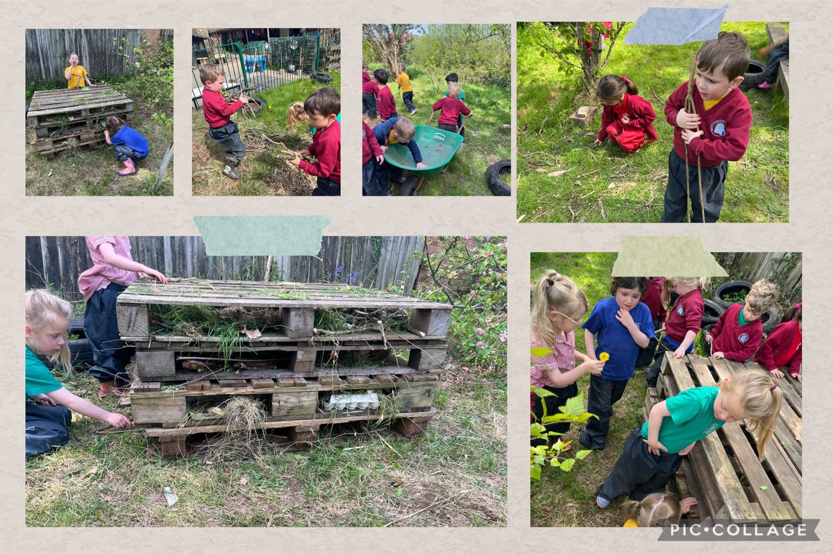 Dosbarth Derbyn  have been thinking about where minibeasts like to live. Today they collected sticks, leaves and grass to create a cosy Bug Hotel. We hope our local minibeasts like it as much as we do! 🐞🐛🪲🐜🕷️🪱🐌@HenllysCIW #rspbwildchallenge