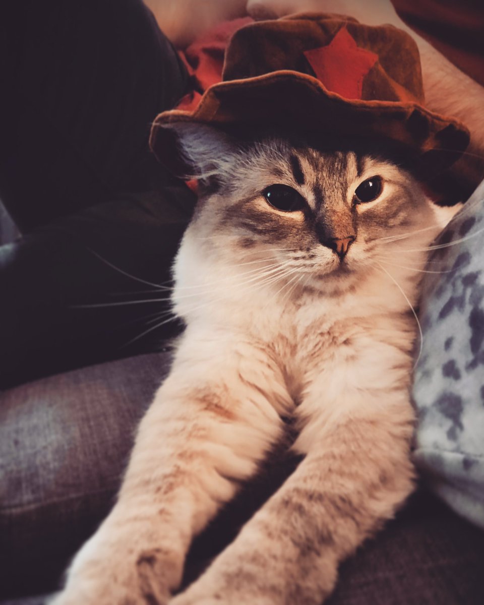 Be rootin’, be tootin’, and by god be shootin’, but most of all, be kind. 🤠