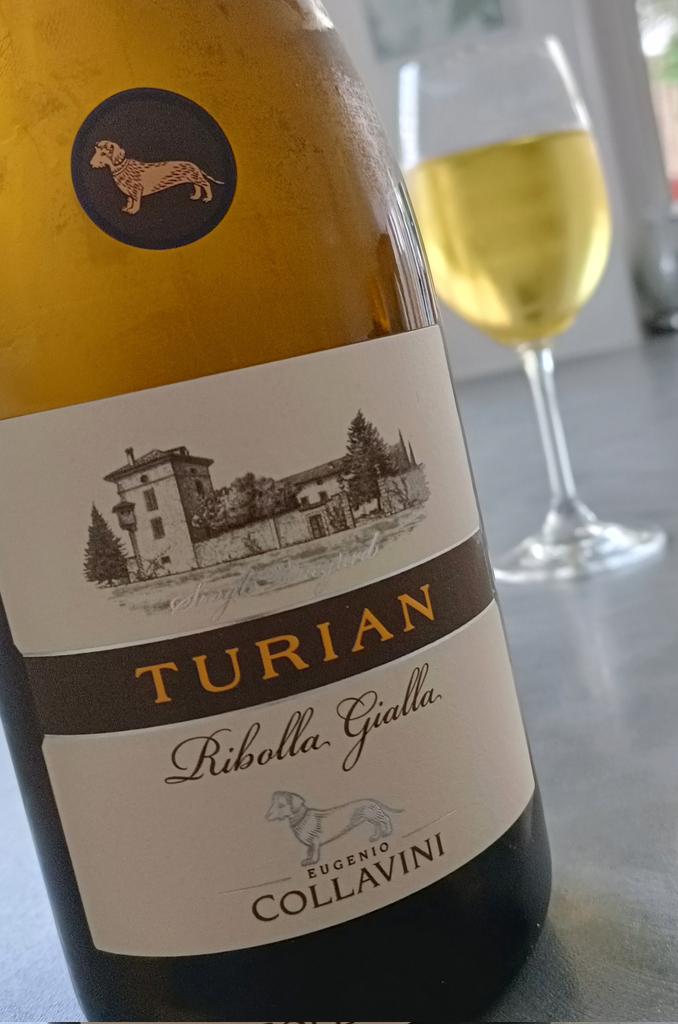 ChrisBoiling's tweet photo. One of my favourite white grapes - #ribollagialla. This great eg, Turian, is from Eugenio #Collavini, a winery based in Italy's Colli Orientali del Friuli, near the border with Slovenia. There the grape is known as #Rebula
#friulianwine #winetourism #collaviniwines #winetravel https://t.co/z7Jjmb7imE