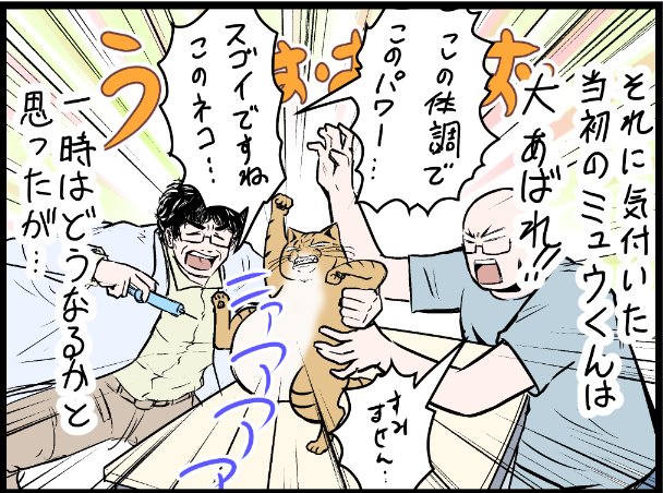 薬入りちゅるーを食べなくなってしまった結果・・・  covovoy.blog.jpからまだ未公開の最新話を読むことができます!   #ニャンコ #まんが #猫 #猫あるある #猫漫画 #ペット #飼い主 #エッセイ漫画 #キャット #猫のいる暮らし