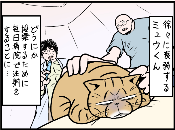 薬入りちゅるーを食べなくなってしまった結果・・・  covovoy.blog.jpからまだ未公開の最新話を読むことができます!   #ニャンコ #まんが #猫 #猫あるある #猫漫画 #ペット #飼い主 #エッセイ漫画 #キャット #猫のいる暮らし