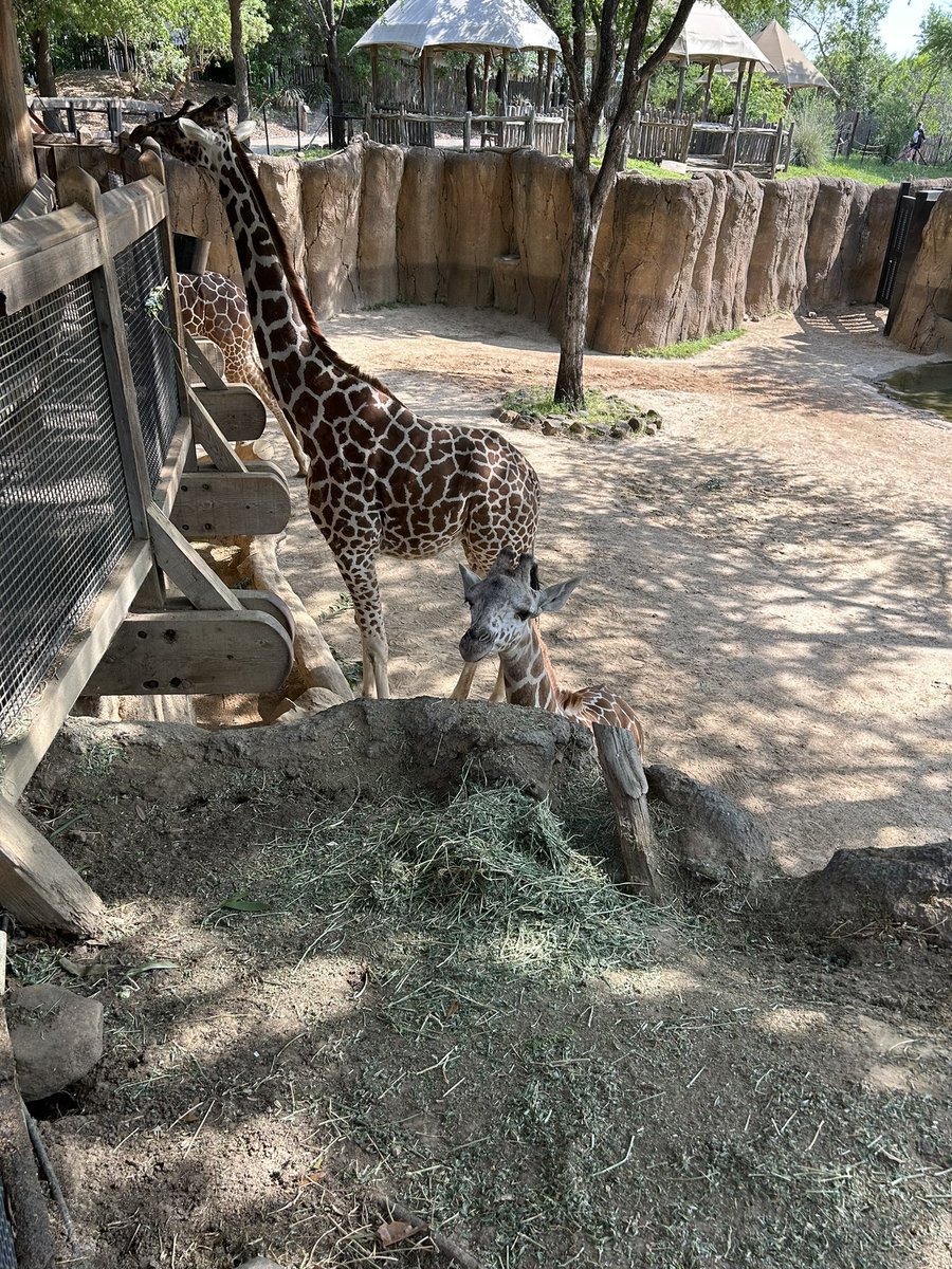 Beth Reeves tweet media