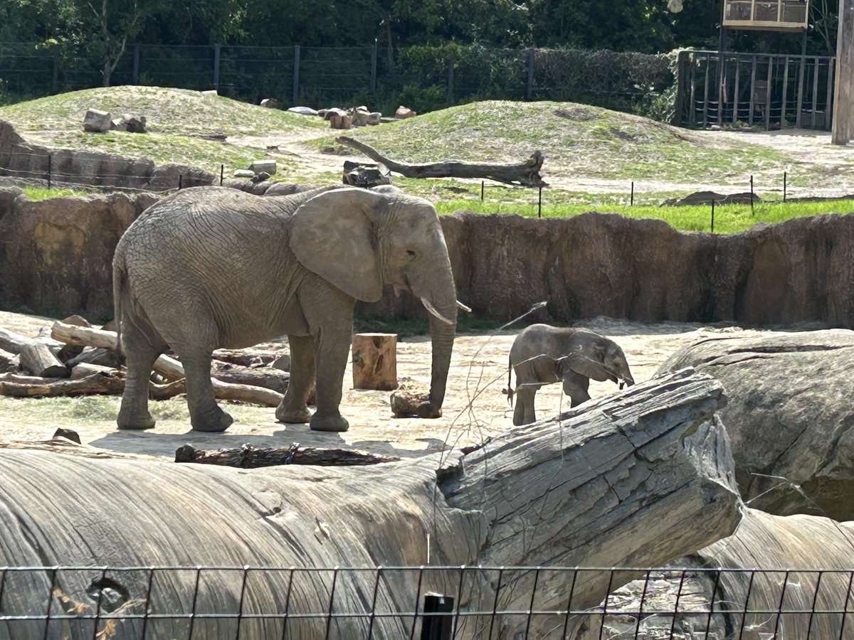 Beth Reeves tweet media