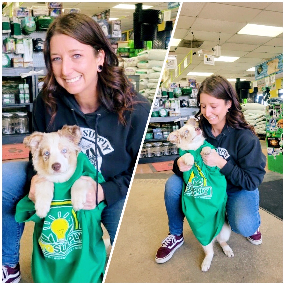 HTGSupply's tweet photo. Who doesnβt love some #puppy love to break up the day? #Roseville, MI was lucky enough to have the post-worth pup stop by! Hey Heather, make sure you get a few pets in for us! πΎπ· π·#HTGsupply #RosevilleMI #Michigan #dogsoftwitter #GardeningTwitter #GrowShop #Wednesdayvibe https://t.co/Mkpnva3yZc