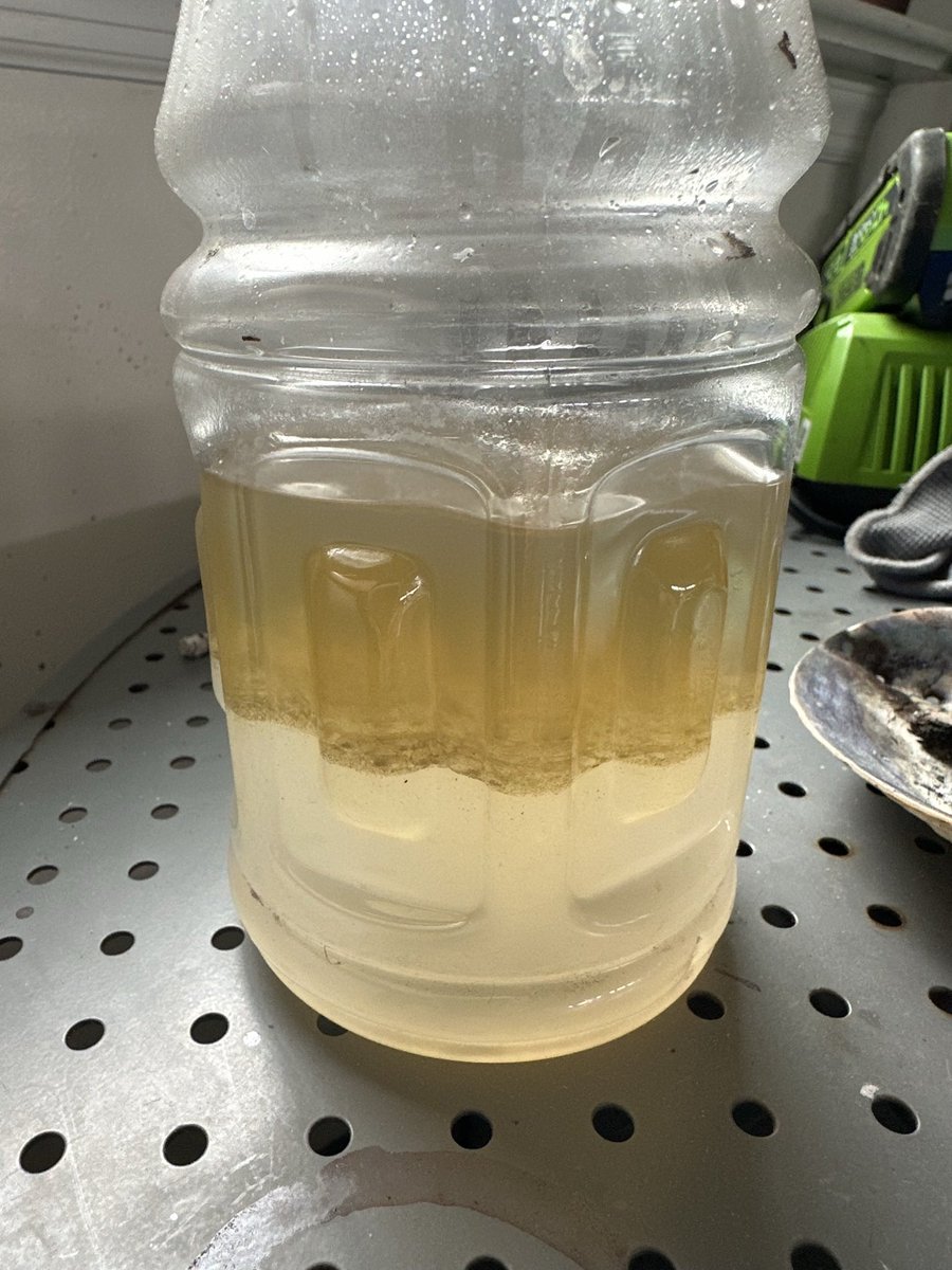 Iamfluid's tweet photo. So my vehicle decided to not start after I filled it up with gas at a SuNOco station. Got it towed, 👇this is what the mechanic found in my gas tank. that's 50% water &amp; the gas is sitting on top. @PAAgriculture weight &amp; measurement is investigating. Lucky the car still runs. https://t.co/dusYMbiSQ9