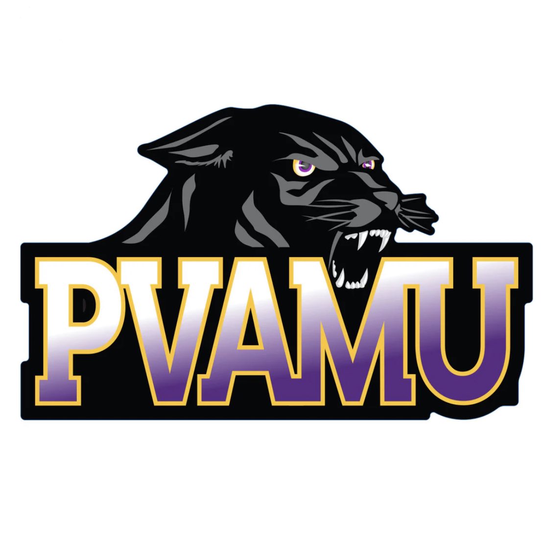 bryce_roberts3's tweet photo. God is Bigger! Truly blessed to receive my first D1 offer to Prarie View A&amp;M💜🖤#ingoditrust #pvamu @jhwy92_LSUEMBB https://t.co/RxHyOWNmEo