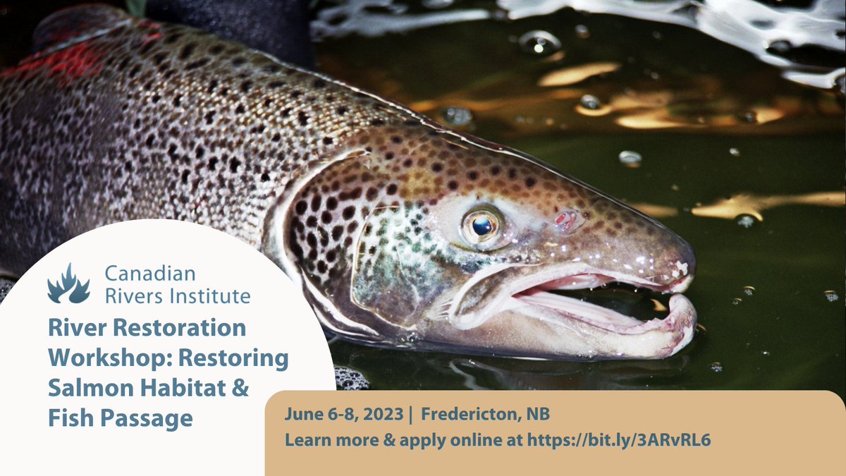 Developed by @poolsandriffles we are pleased to partner with @Okanagannation to offer the workshop 'River Restoration: Restoring Salmon Habitat & Fish Passage' June 6-8 in Fredericton, NB! Learn more & apply at bit.ly/3ARvRL6.