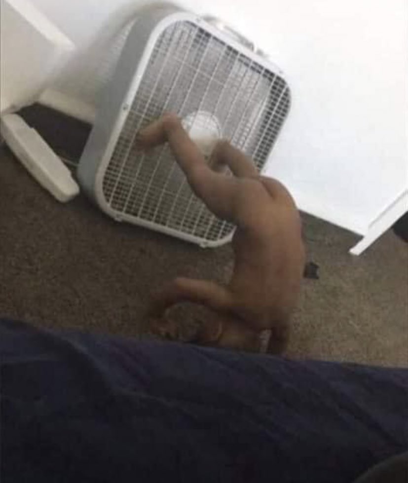 Dios mío que calor tan hp