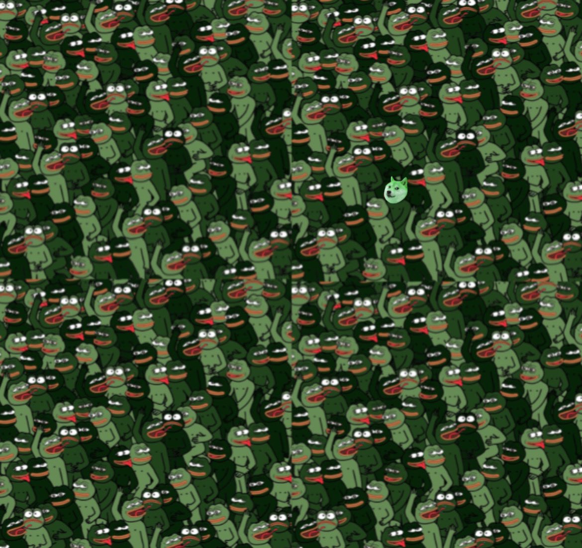 Can you find $doge in this $pepe image?