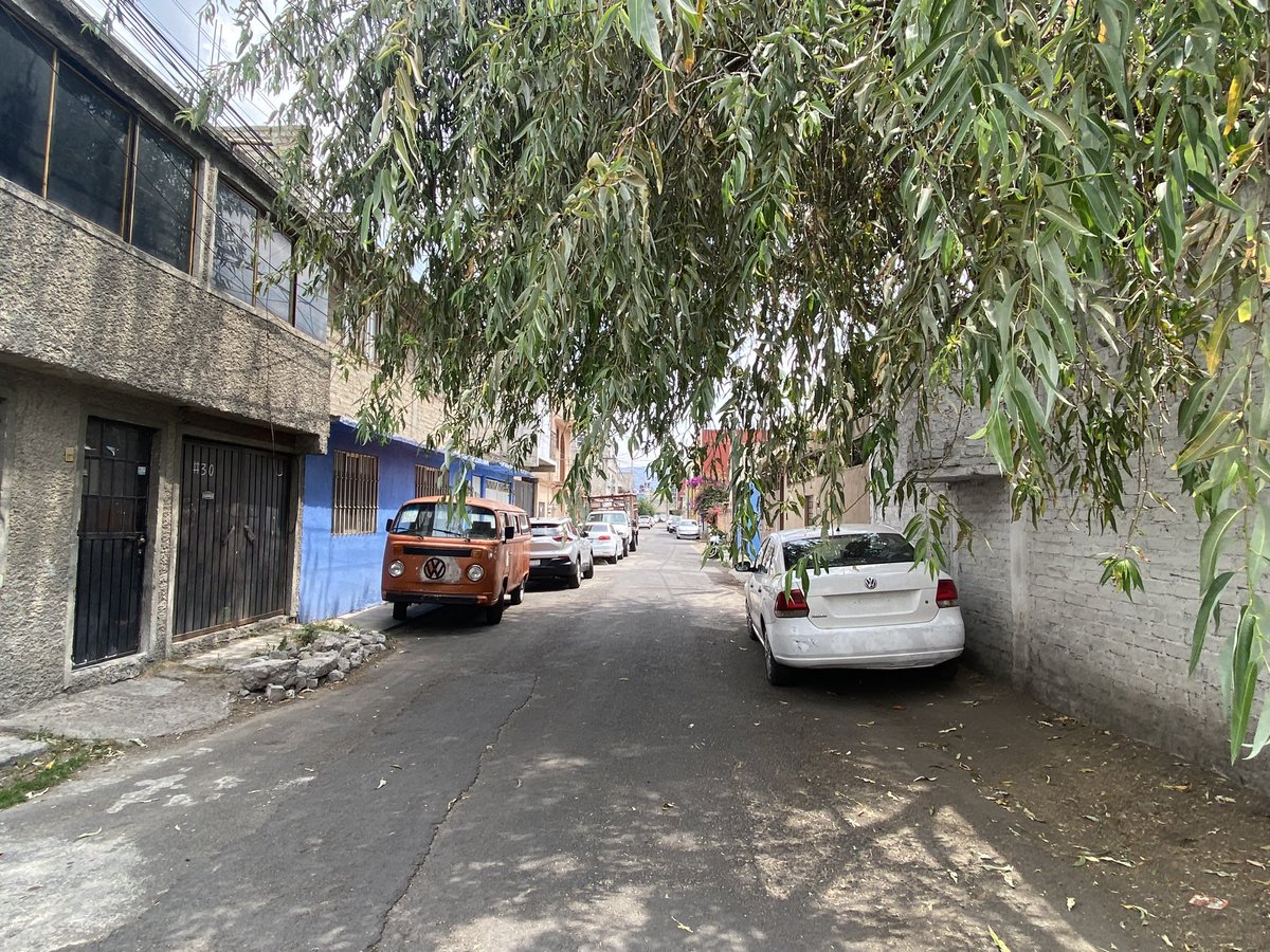 alinvazquez's tweet photo. @XochimilcoAl donde puedo reportar o pedir una poda de un árbol?? Es en San Lorenzo la Cebada, Xochimilco
Sobresale demasiado en la calle además de interferir con los cables de luz y otros servicios!! Además de que los dueños del predio no hacen nada. Necesitamos orientación https://t.co/YfbMa7rXHw