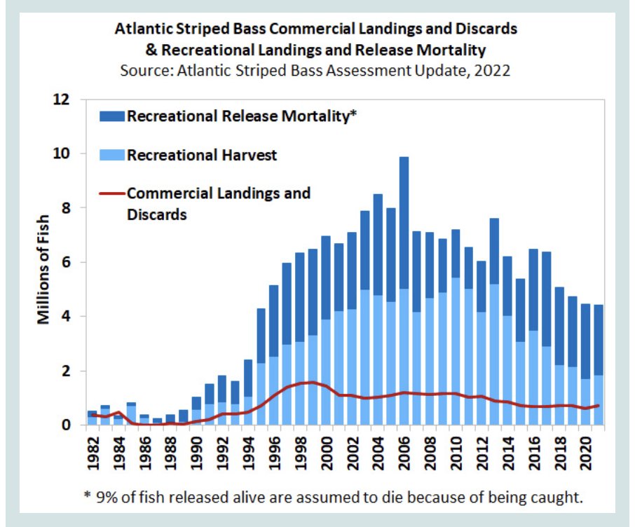PRFC_Fisheries's tweet photo. ASMFC Atlantic Striped Bass Board Acts to Support Stock Rebuilding through Emergency Action and Addendum II Initiation....
https://t.co/zoqYElvOjc https://t.co/6lK22NbaA4