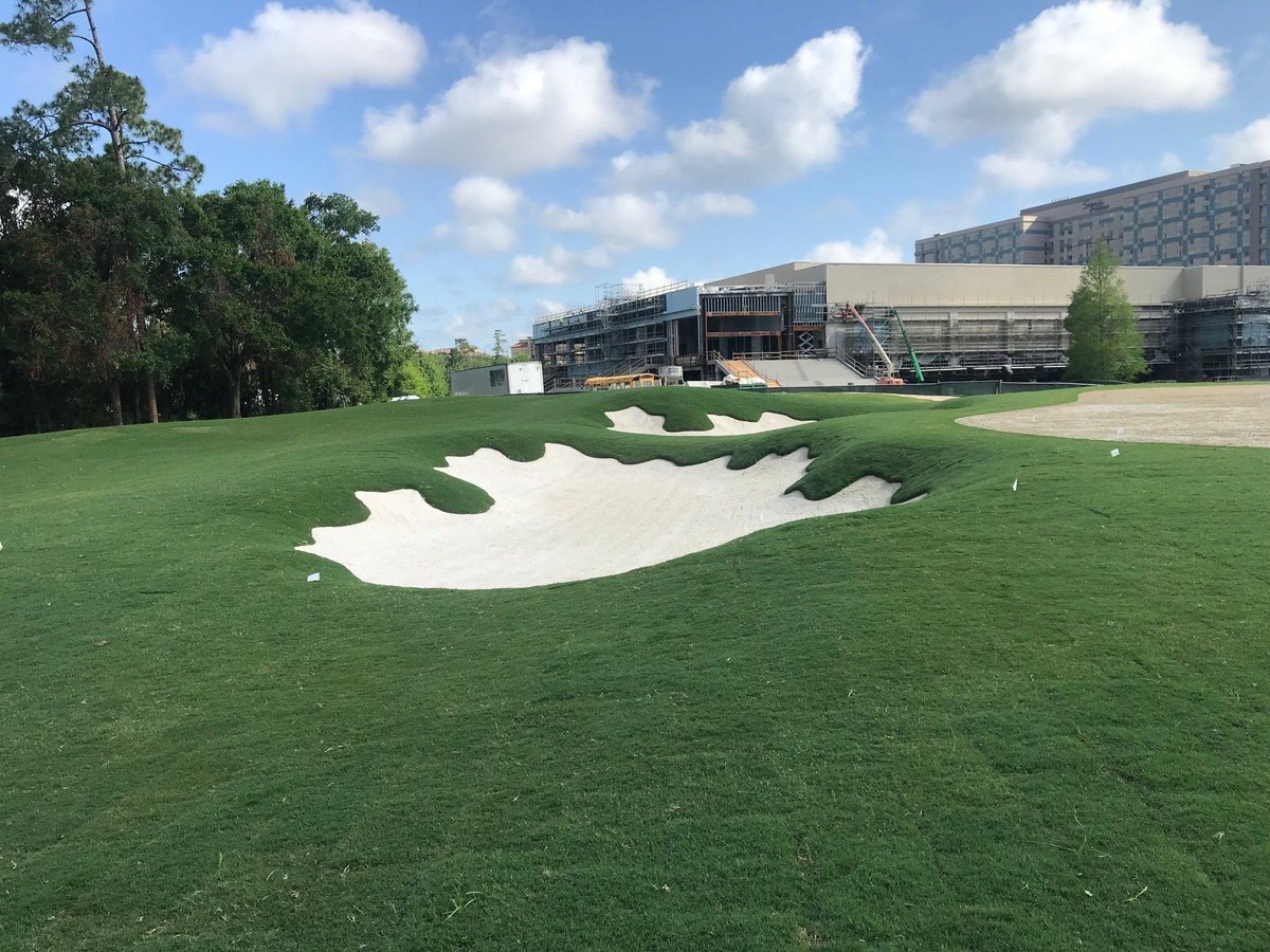 BethelFarms's tweet photo. Check out how amazing our BIMINI® Bermuda looks at the Waldorf Astoria Golf Course in Orlando. These photos are just 2 weeks after installation! Bermuda is THE sports grass for Florida’s sports industries. 

#BIMINIbermuda #bermudagrass #landscapedesign #sports #fairway https://t.co/eYM0crGG6T