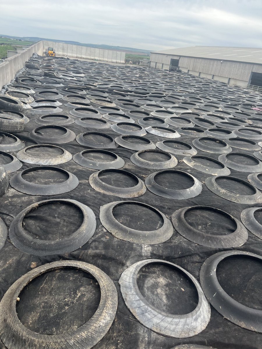 Phil Kent tweet media