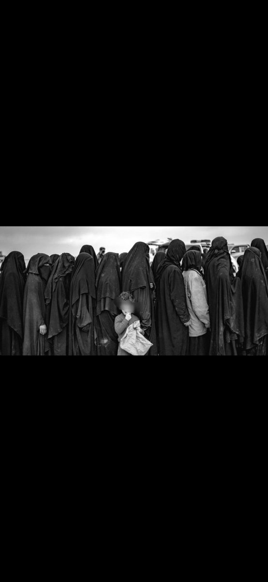 Ankebut792's tweet photo. Ölüme Terkedilmiş Anneler https://t.co/kfbVTdhpiT