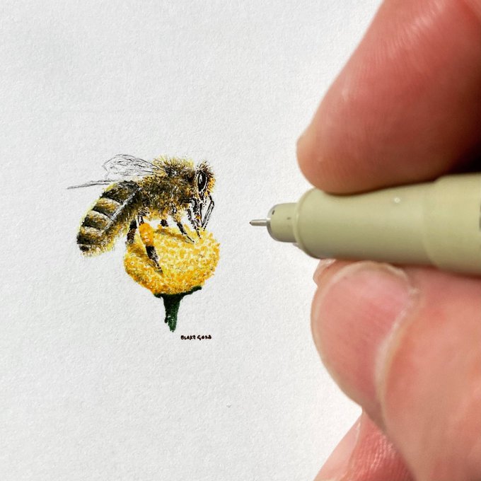 Abejaarr's tweet photo. #20Mayo Día Mundial de las Abejas 2023

ABEJA COMPROMETIDA en la producción agrícola Y LA ALIMENTACION DE LOS HUMANOS
EN EL MAS BELLO MES se amigable con los polinizadores y mas con las abejas. @SOVENAPI #Bee #Apicultura #Beekeeping #Apicultural #HoneyBees #Beekeeper #Honey https://t.co/OF6rIcljXE