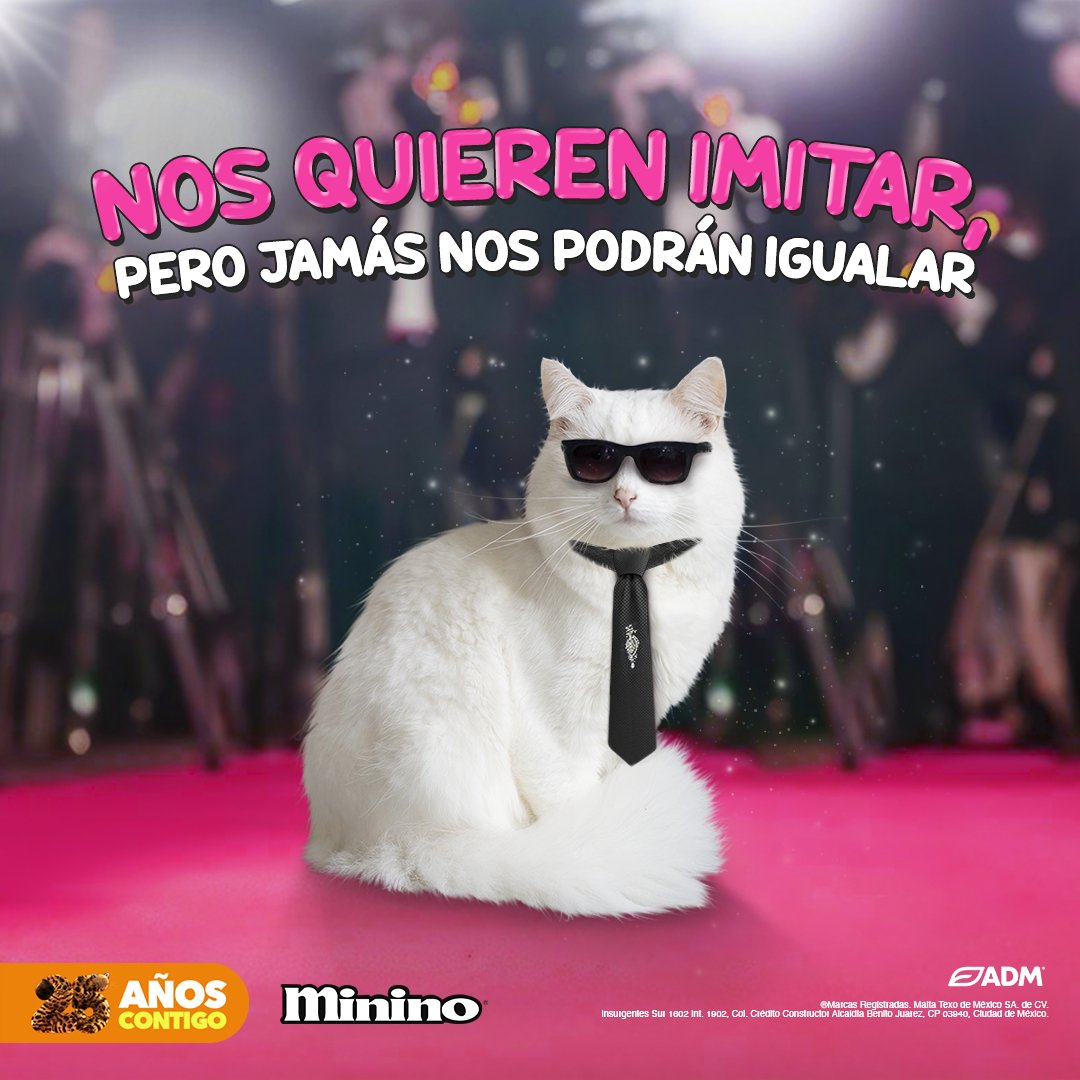 ¡Miau Lagerfeld tiene muchísima razón! ✨ La belleza y esponjosidad de tu michi 😺 no tiene comparación, nútrela al máximo con Minino® 🧡 #MetGala2023 #metgala