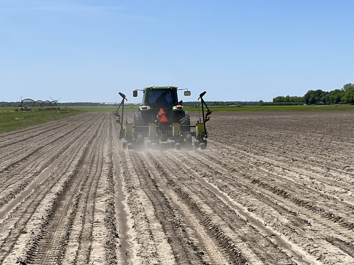 Tom Allen (@baldpathologist) on Twitter photo Bulk soybean going in for foliar fungicide efficacy trials. I’ll do a little “disease dance”……hadn’t gotten much frogeye since 4744 was a “thing” <a href="/T_birdPathology/">Tessie Wilkerson</a> #mscrops Bulk soybean going in for foliar fungicide efficacy trials. I’ll do a little “disease dance”……hadn’t gotten much frogeye since 4744 was a “thing” <a href="/T_birdPathology/">Tessie Wilkerson</a> #mscrops