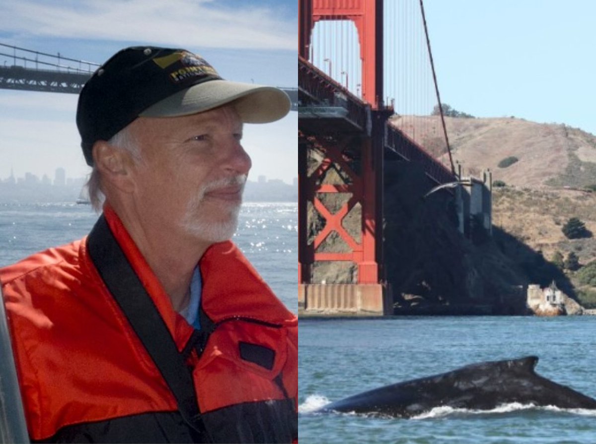 Tales of Urban Whales - Here’s your chance to find out the difference between a porpoise and a dolphin, why whales are now visiting the bay, and what you can do to help in the study of our marine mammals. Join us! #GreenWeek  buff.ly/3Lt6Lal