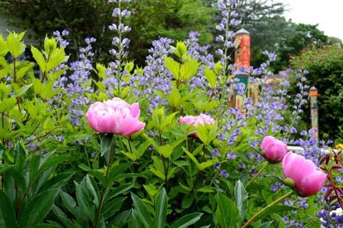 Natureworks Garden Center & Landscaping tweet media