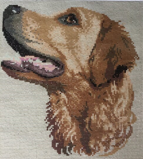 Excited to share the latest addition to my #etsy shop: Dog portrait Labrador Retriever| Diamond Painting Mosaic| Fraimed Finished Work etsy.me/3VspZS8 #birthday #christmas #beading #brown #office #artdeco #labradorportrait #mosaicportrait #diamondpainting