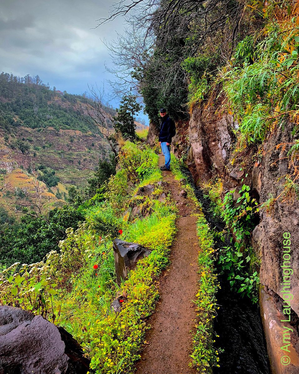 A_Laughinghouse's tweet photo. #Travel photo of the day: Hiking a #levada, an irrigation path that hugs #Madeira’s steep terraced slopes. Couldn’t find a pic that adequately depicts how narrow it is &amp; how precipitously it drops into a verdant abyss. Terrified. Send whisky.

#portugal #levadawalks #yikes https://t.co/3W6Ayib6c7
