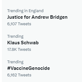 Excellent!

Justice for Andrew Bridgen
Klaus Schwab
#VaccineGenocide 

Are all trending right now.