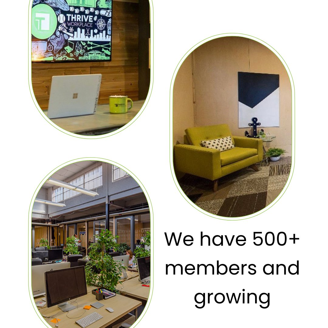 Want to know more about Thrive Workplace? 

Here are a few facts about us. 

Still looking to learn more? Visit the link in our bio to schedule a tour!