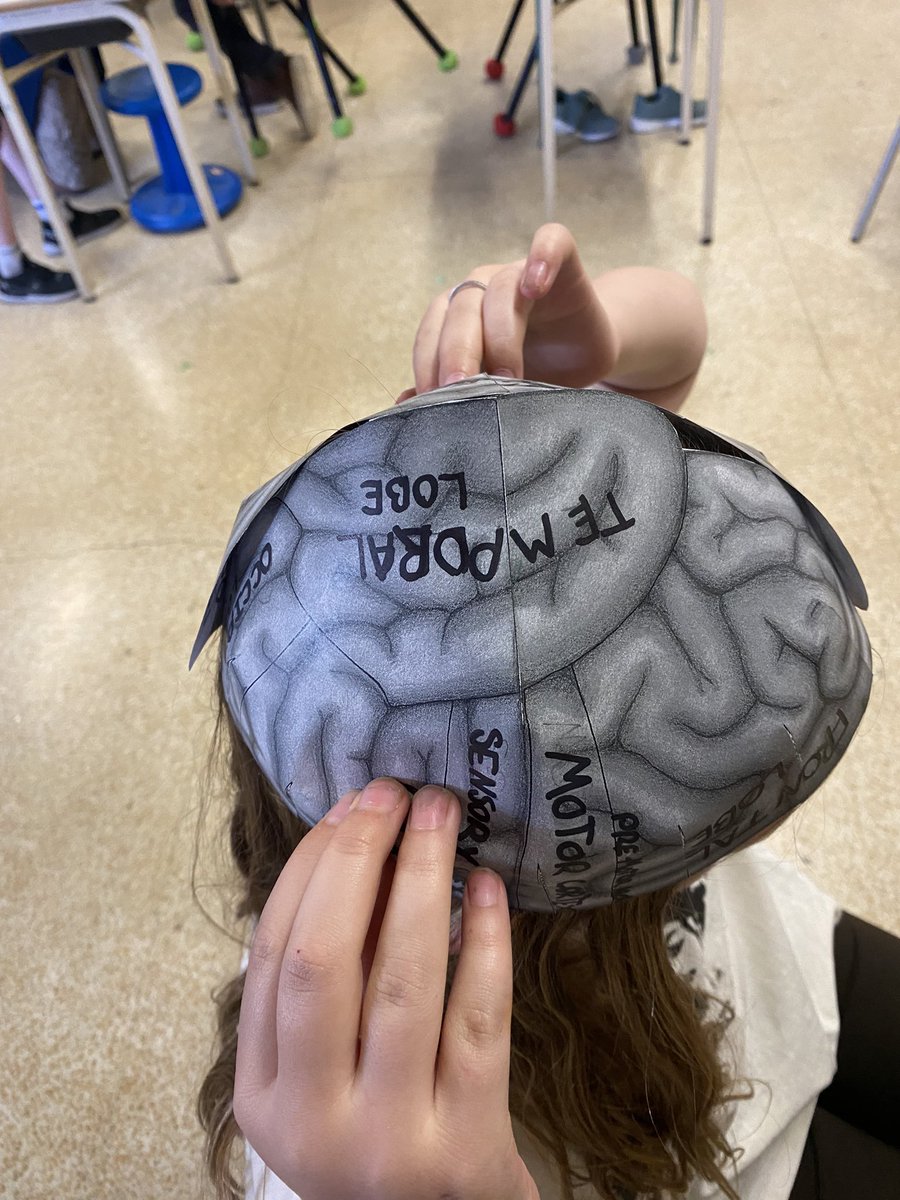 ms_bowersclass's tweet photo. We talked about hats on for mental health today. The grade sixes created their own models of their brains and discussed the importance of brain health. We also created a Help me box for students to let me know if they need help with something in their lives. https://t.co/Fmk4LInT6a