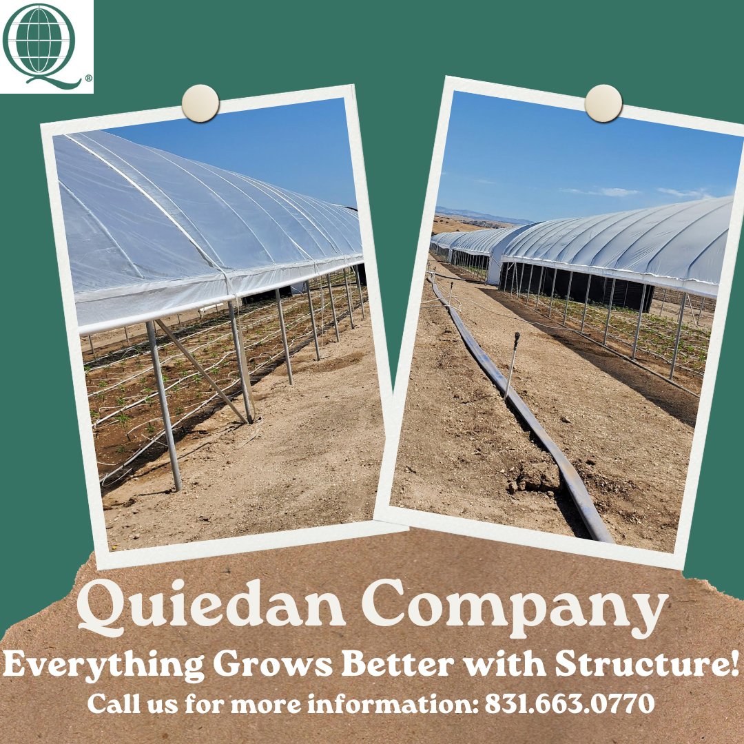 Quiedan's tweet image. The picture says it all! Everything Grows Better with Structure! Give us a call 831.663.0070
~
~
#grow #growbetter #structuredesign #ad #quiedancompany #montereycounty #quiedan #agriculturesector