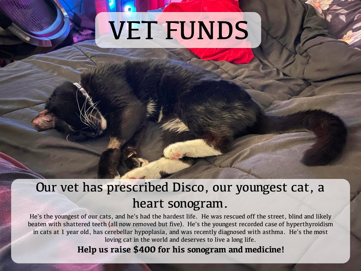 ladraws_'s tweet photo. I'll be raising money on stream this month to help fund Disco's vet bills!  All the information about his medical needs are in the image.  If you want to donate independently of stream, you can donate here:

Venmo: https://t.co/YJlCGGVOjJ
Paypal: https://t.co/gr530k3HYd https://t.co/X8BgeB6sEx
