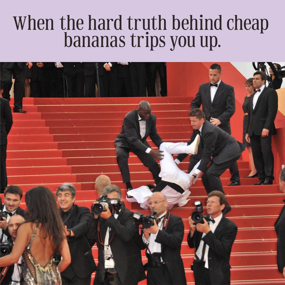 Chasing the cheapest #bananas can send you down a slippery slope &amp; contribute to poor human &amp; environmental working conditions.  Level up your banana game with Equifruit #Fairtrade bananas; the only banana that keeps your morals grounded. #BananaBadass #metgala #jasonderulo