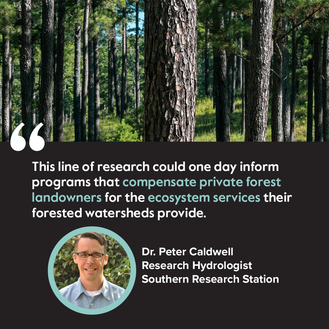 KeepingForests's tweet photo. Forests protect water. In the future, many forested watersheds in the South could be lost to development, lowering water quality &amp; raising treatment costs.

Researchers from the @forestservice &amp; @NCState published a paper with these results. Read more: https://t.co/pQu5A3Izlt https://t.co/bWBUM9sZP7
