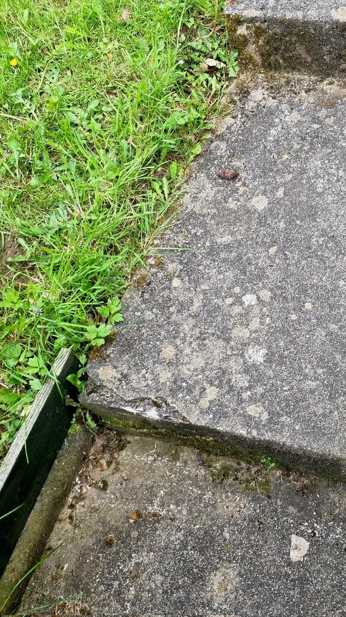 flahertycom's tweet photo. I've done rightly to get this far in without the usual tripping over my own feet @KLEvans89 🤣🤣
#CanvasFail #MindTheStep 😬
@UUP_ABC
#LE23 https://t.co/4R1DqxwTzP