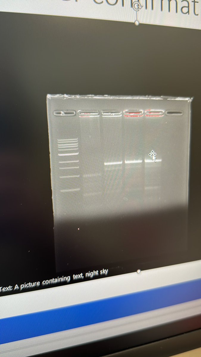 Ellen 🧬🥼 tweet media