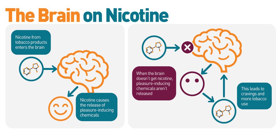 ClarkINTPC's tweet photo. Are you ready to stop smoking? Simply call 1-800-QUIT-NOW #Indiana #CASI https://t.co/FtUfPv7MWc
