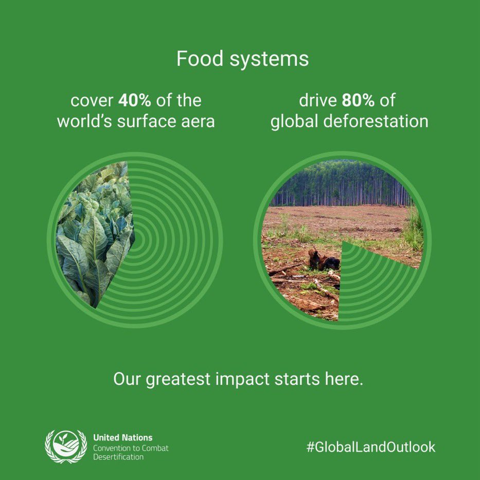 @FAOLandWater @vargasfao @EU_Commission @mitecogob @Bundeskanzler @POTUS @cpsavesoil @SadhguruJV @EUAgri @EU_ENV @UNEP @IUCN @ICRAF Soil is a complex symbiotic system of living organisms that support all life on this planet. Without organic content, it is getting reduced to sand. Let's #SaveSoil