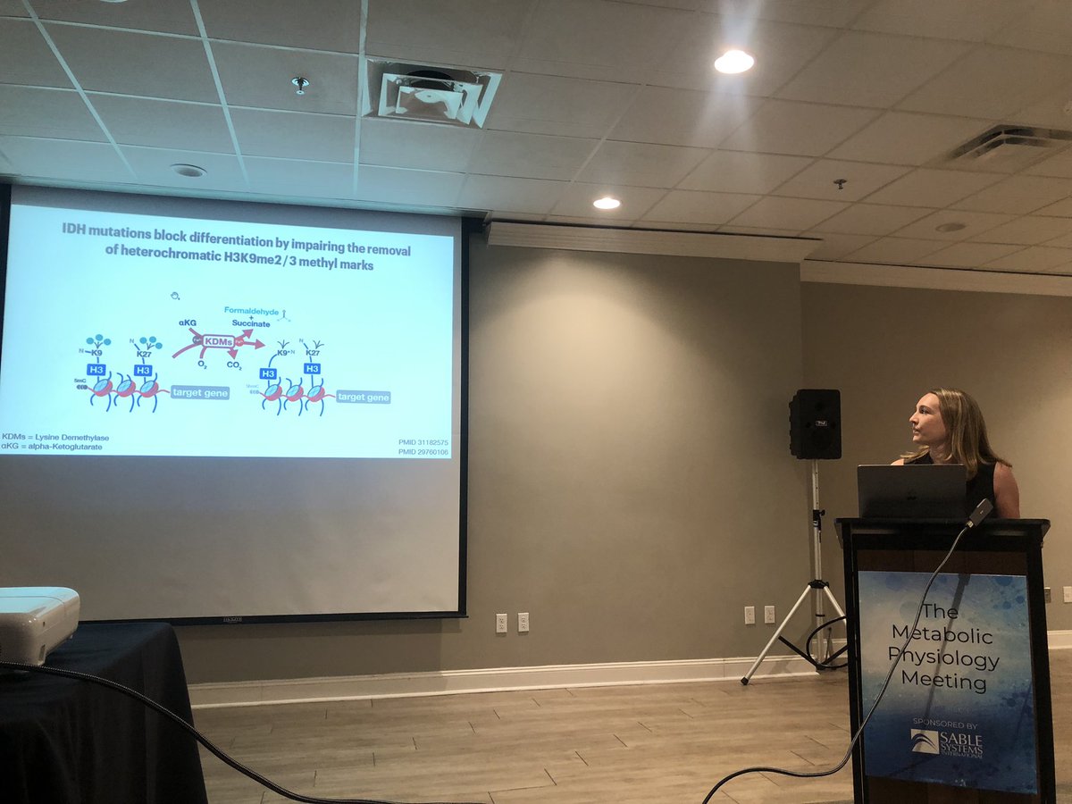 #METPHYS2023 Grace Forsyth is telling us how oncogenes IDH mutants increase replication stress